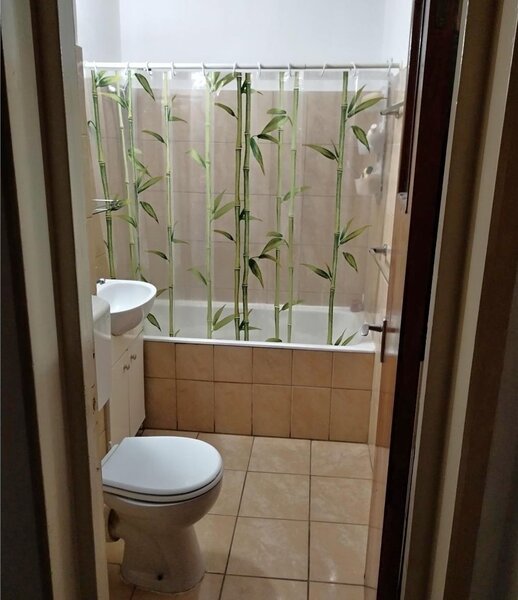 Berceni, Turnu Magurele, Grand Arena, stradal